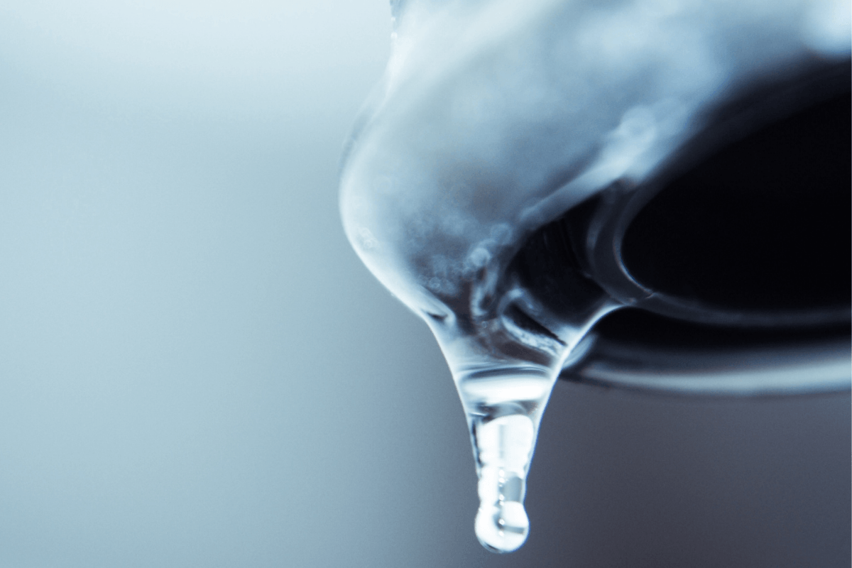 Polyquaternium-7 Pferd